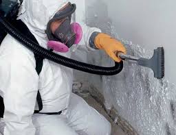 Mold Remediation for Vacation Homes in Gunnison, UT